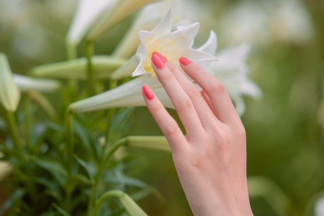 Healthy and Beautiful Nails! How Kerassentials Can Help You
