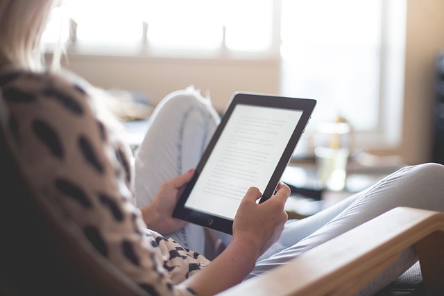 Simple ebook brings 12K DOLLARS per Month