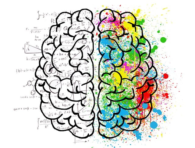 How your Brain captures Million Dollars ideas