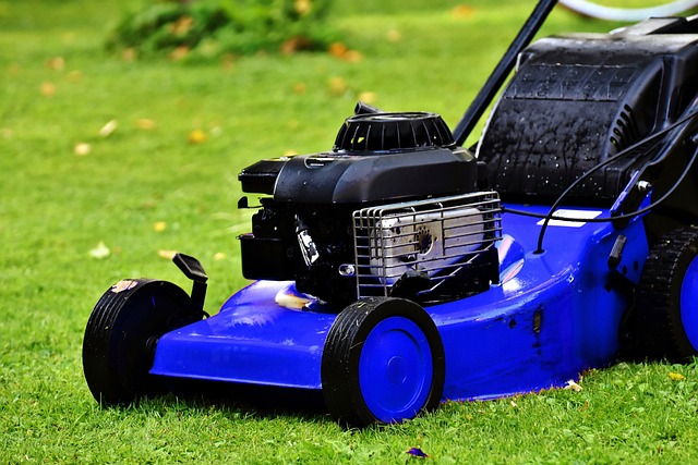 How To Make 50K Fast Without Mowing Lawns Or Dog Sitting