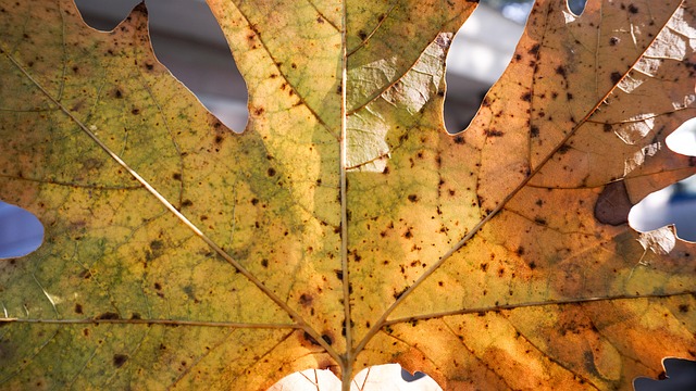 Build a liquid Hub like we do, GRUPPO FREEPERCLICK