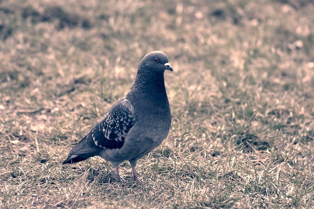 How they built a Cold Outreach reaching 3 MILLION Dollars value