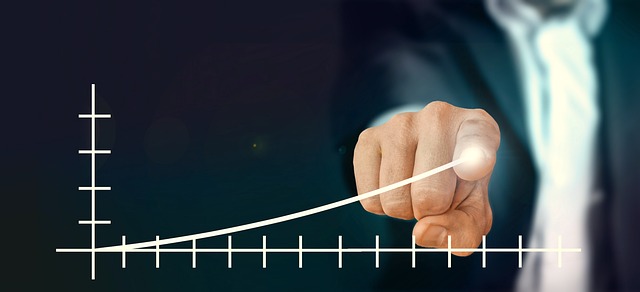 How to Profit from PLR Products with PLR Monster