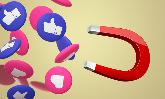 Automated Traffic and Lead Generation